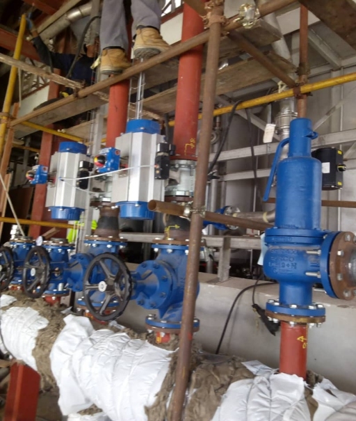 Complex cluster of pneumatic process control valves